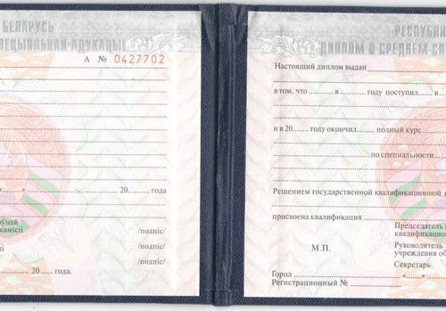 Диплом техникума Беларусь от 2002 до 2025